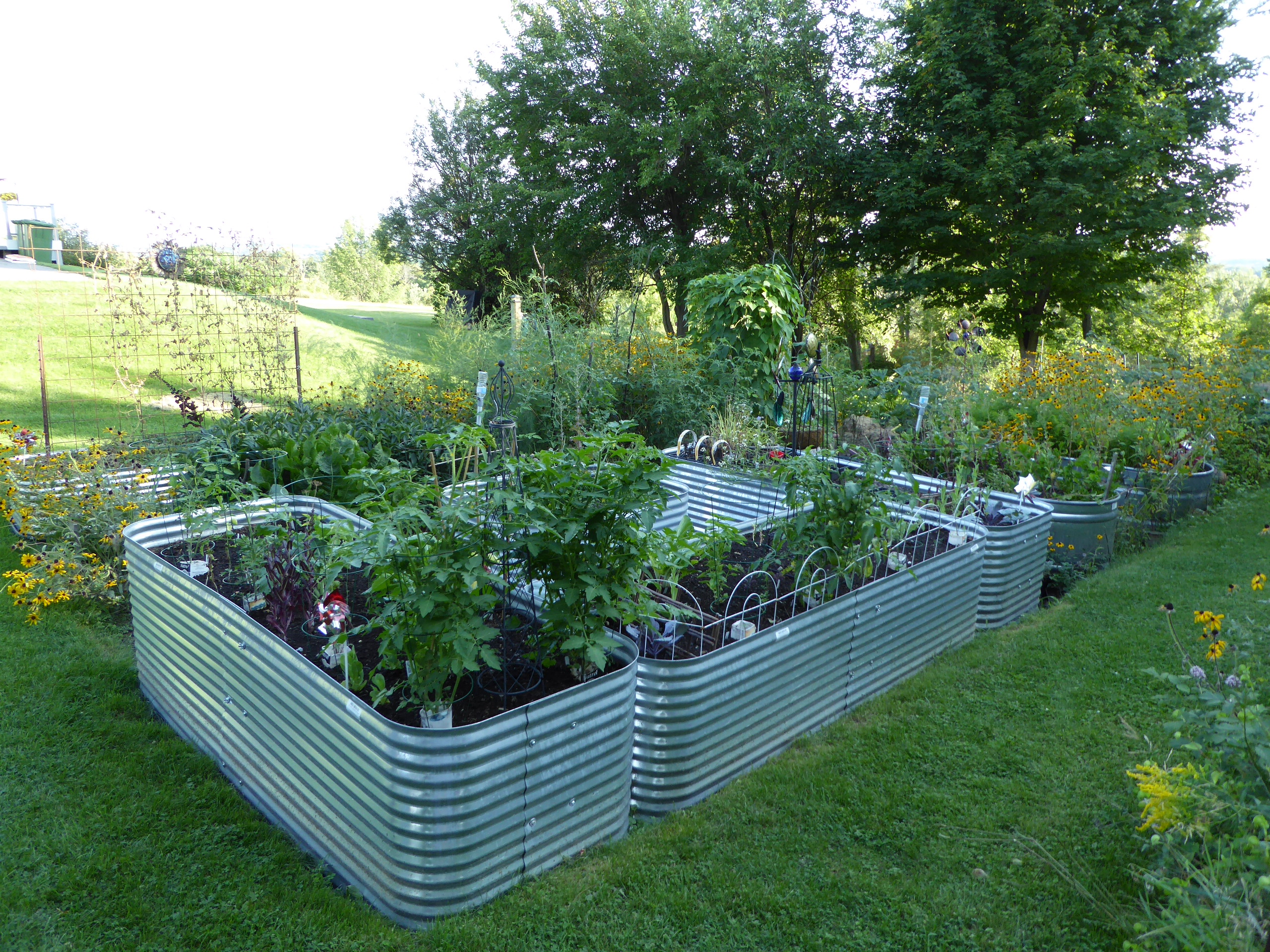 Raised Garden Beds Conquest Steel, Is Corrugated Metal Safe For Garden Beds